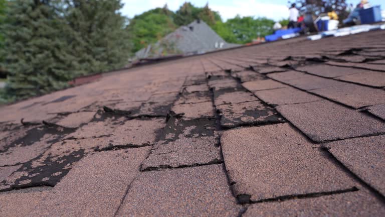 Best Roof Insulation Installation  in Olga, FL
